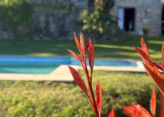 Tatil Evi Casa Andorinhas *